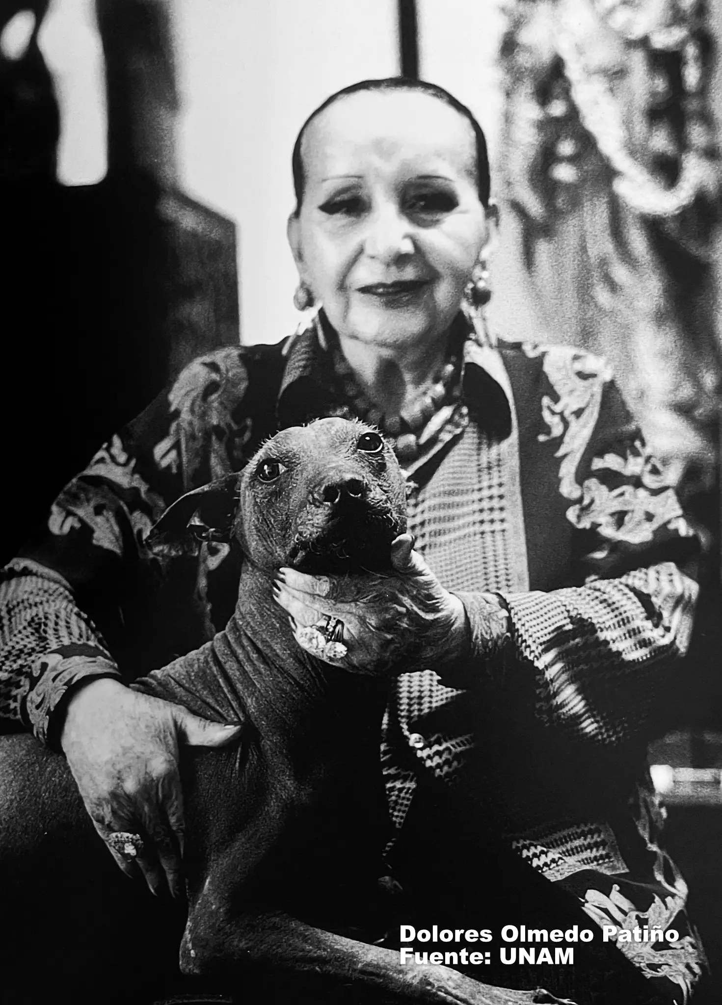 Dolores Olmedo, Source: UNAM.